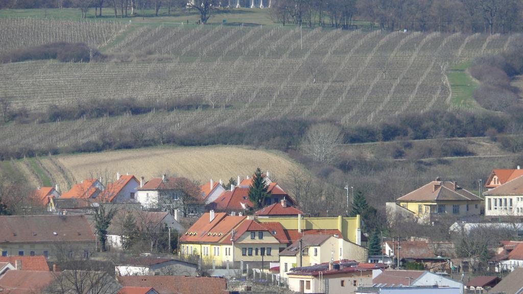 Apartment Zelezny Hrozen Valtice Kültér fotó